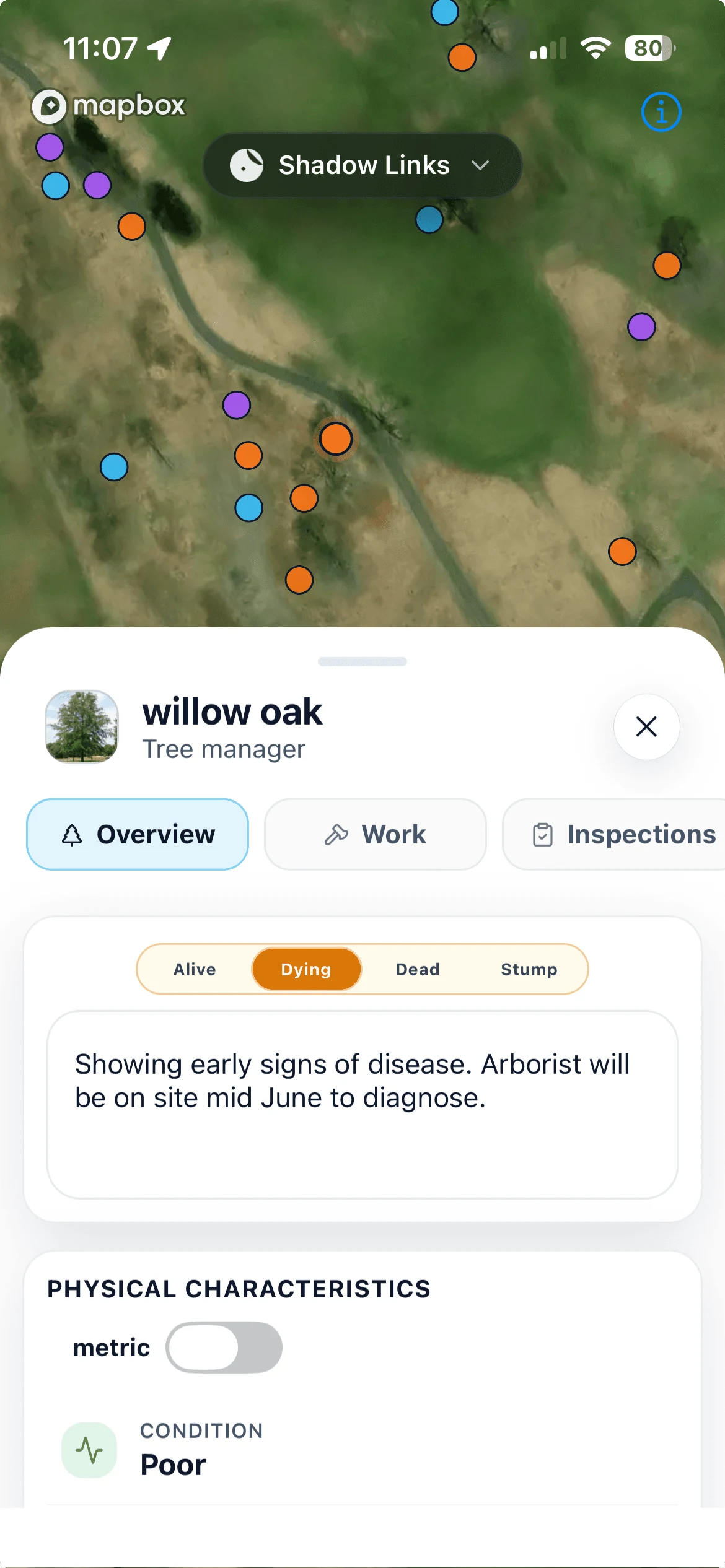A mapped tree with species, condition, and an arborist note in the Turfile mobile app